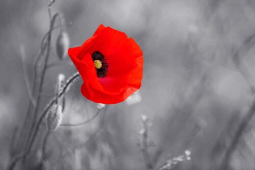 Remembering remembrance